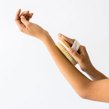 Afbeelding in Gallery-weergave laden, Eco Dry Brush
